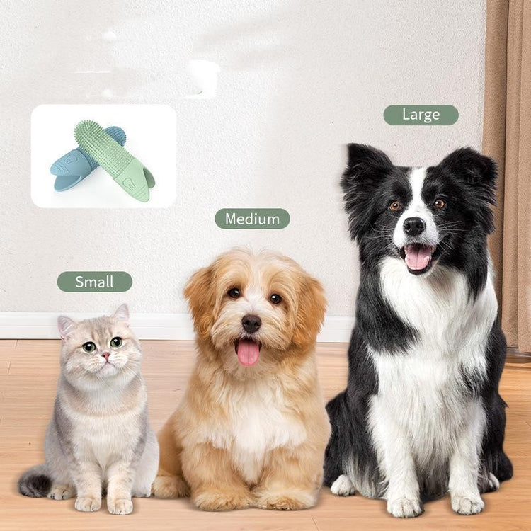 Pet Health