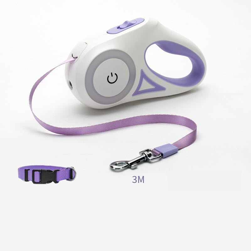 Pet Accessories