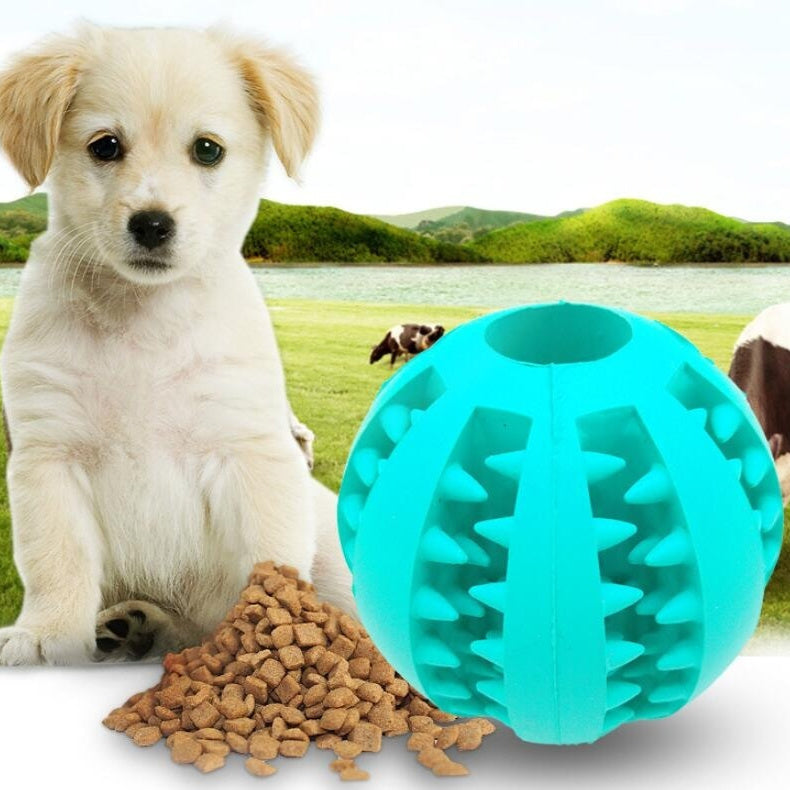 Pet Toys