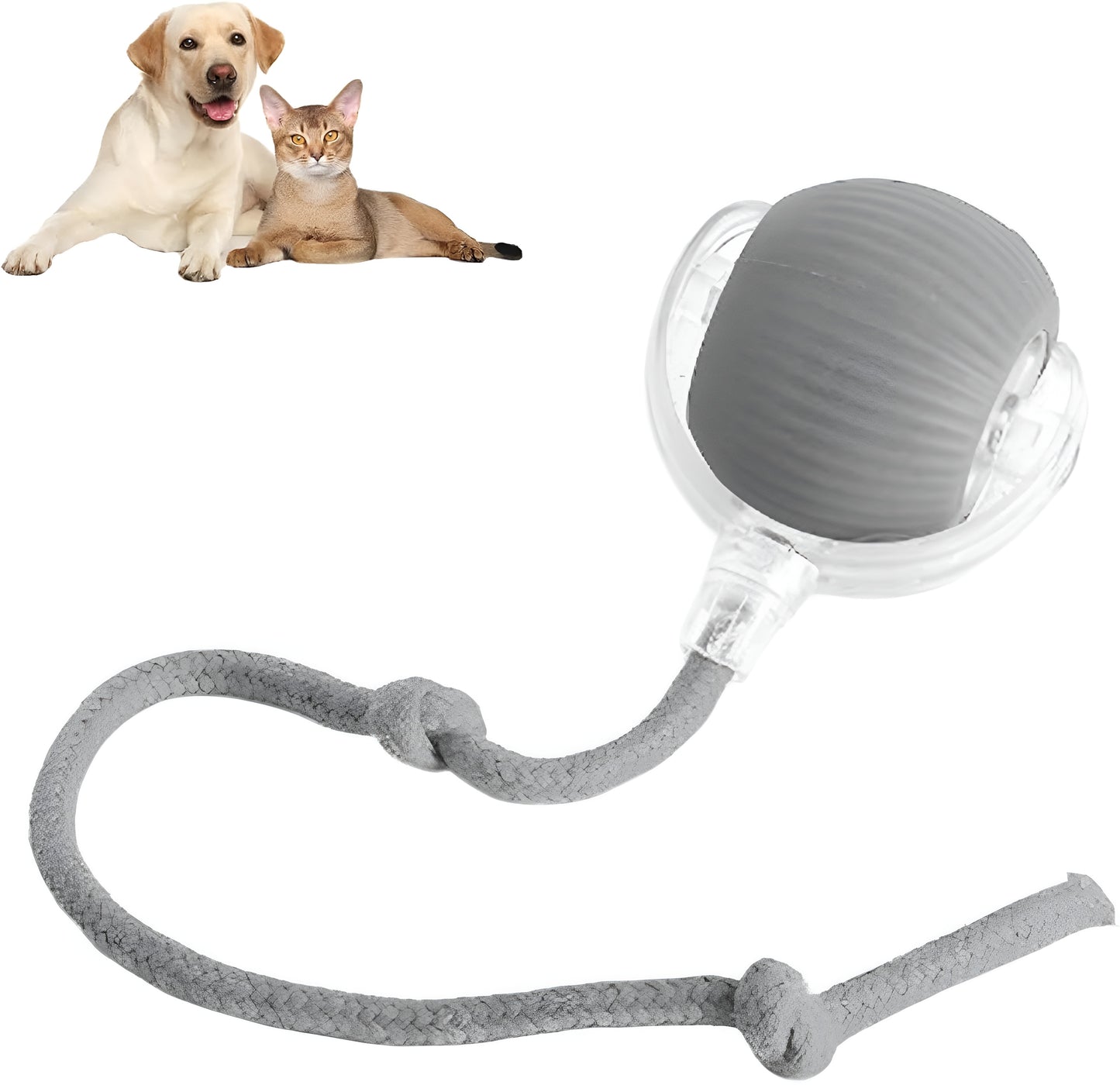 Gray pet toy with rope and ball on a white background, with two pets in the corner.